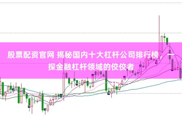 股票配资官网 揭秘国内十大杠杆公司排行榜，一探金融杠杆领域的佼佼者