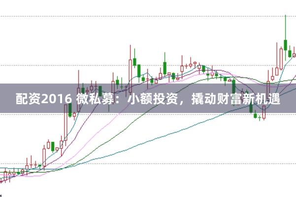 配资2016 微私募：小额投资，撬动财富新机遇
