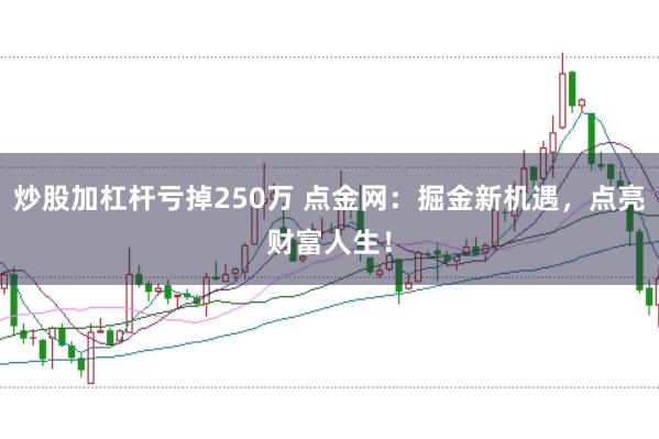 炒股加杠杆亏掉250万 点金网：掘金新机遇，点亮财富人生！